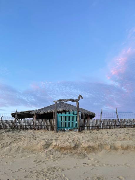 istock Door and pink clouds 1387504941