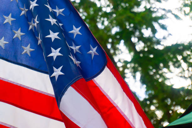 istock American Flag in front of Trees in Background 1387510365
