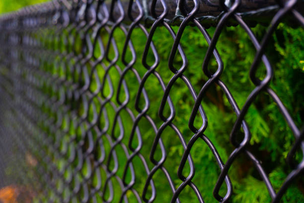 schwarzer maschendrahtzaun vor green hedging - green fence chainlink fence wall stock-fotos und bilder