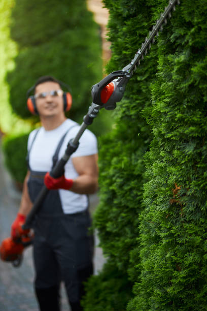 istock Man in uniform trimming hedge during summer time 1387514559