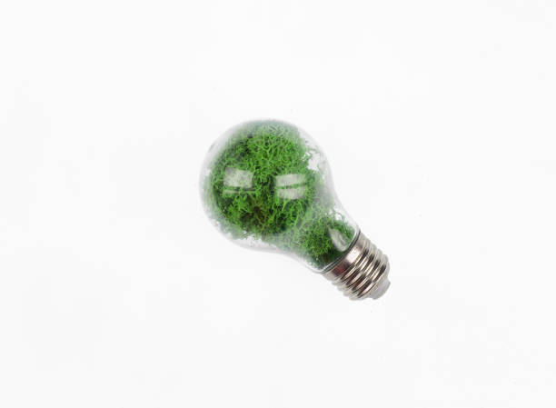 istock : green eco light bulb isolated on white background 1387515679