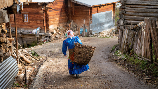 Artvin, Turkey - July 2018: Woman from Black Sea Karadeniz region in her traditional dress walking in Maden Village which is in Black Sea Karadeniz region highlands