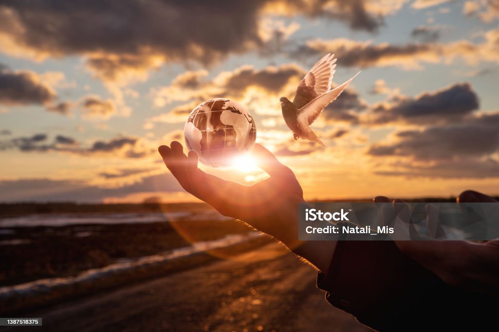 Concept of peaceful world peace. Concept of peaceful world peace. The hand supports the Globe against the backdrop of a sunset and a fly dove. Globe - Navigational Equipment Stock Photo