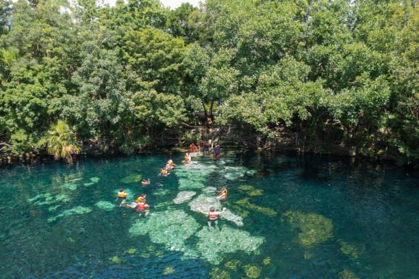 People swimming in Play del Carmen cenote, seen from above stock photo