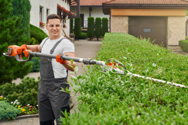 istock Man in uniform shaping bushes with electric trimmer 1387519443