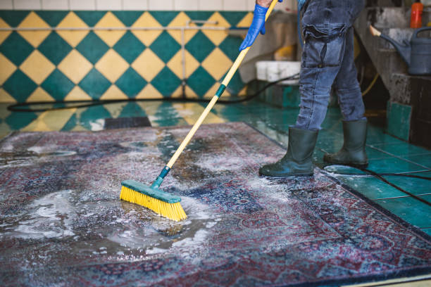 istock Carpet chemical cleaning with brush. 1387521702