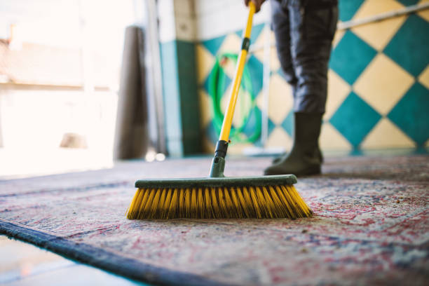 istock Carpet chemical cleaning with brush. 1387521846