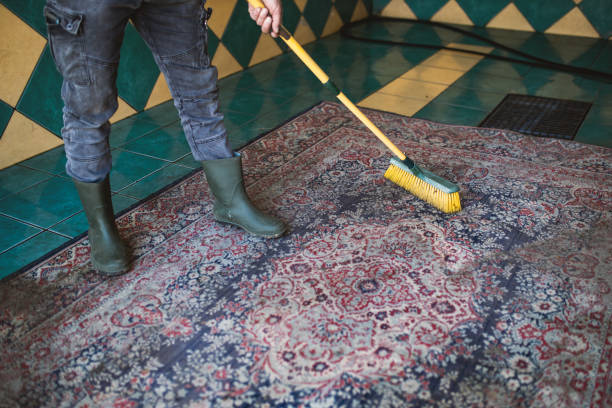 istock Carpet chemical cleaning with brush. 1387521900
