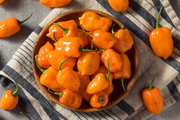 istock Spicy Raw Organic Habanero Peppers 1387522172