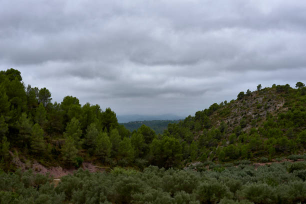istock Mountain landscape with pine trees and clouds 1387525955