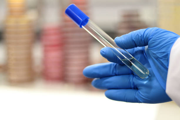 istock Tube for microbiology tests in the research laboratory 1387537683