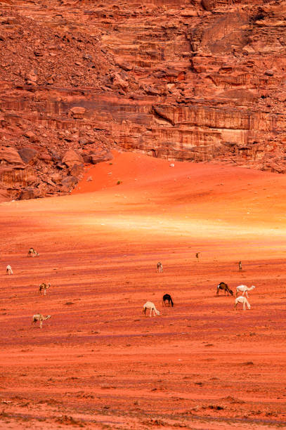 istock Extraordinary mountain desert landscape, Wadi Rum Protected Area, Jordan. 1387542304