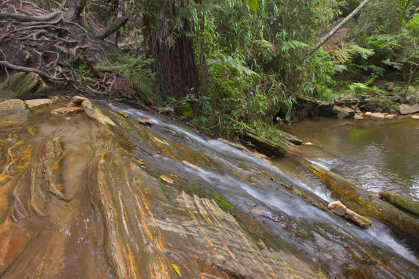 istock water running over a large rock, between the trees, recorded with low shutter speed, at the Sobradinho waterfall. 1387551324
