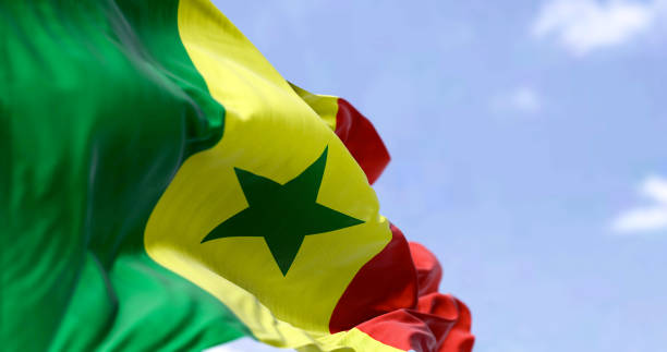 detail der nationalflagge von senegal, die an einem klaren tag im wind weht - flag of senegal stock-fotos und bilder