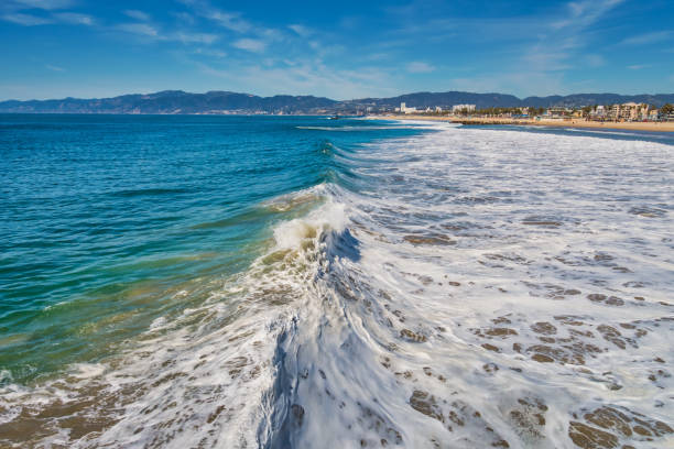 Sandy beach in Los Angeles with scattered rocks and seaweed in the foreground, ocean in the middle, a panoramic view of a city skyline with several buildings and a mountain range in the background.