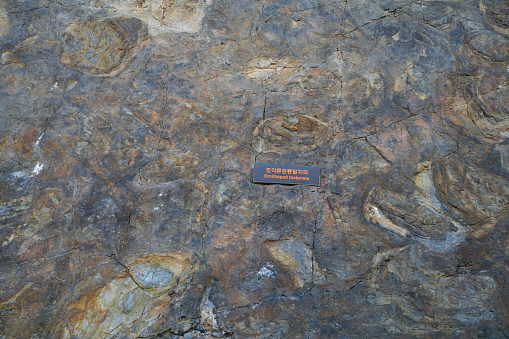 The reality of dinosaur footprints in Haenam Dinosaur Geopark that can be used as textbooks in schools