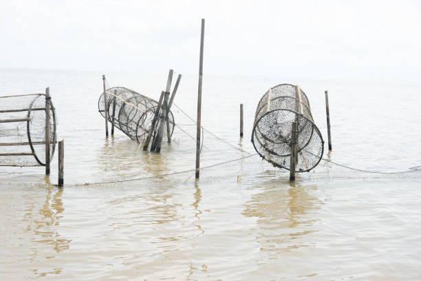 2,100+ Fish Trap Stock Photos, Pictures & Royalty-Free Images - iStock