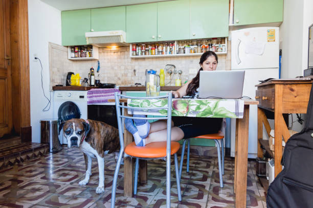 front view of young woman in kitchen working on laptop and her dog next to her stock photo