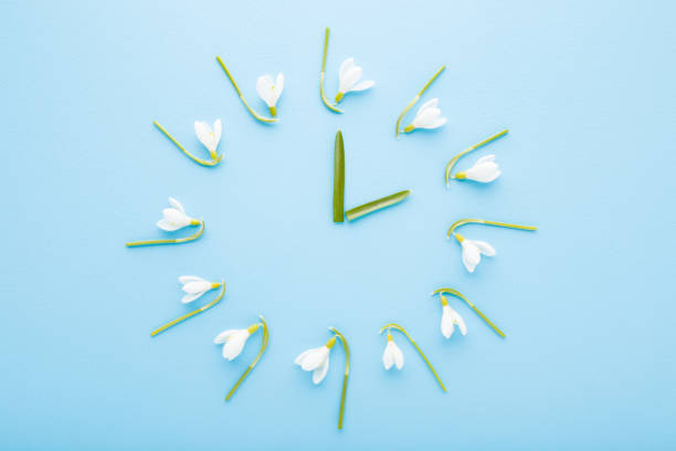 istock Flower clock created from white fresh beautiful snowdrops and green leaves on light blue table background. Pastel color. First messengers of spring. Time concept. Closeup. Top down view. 1387599551