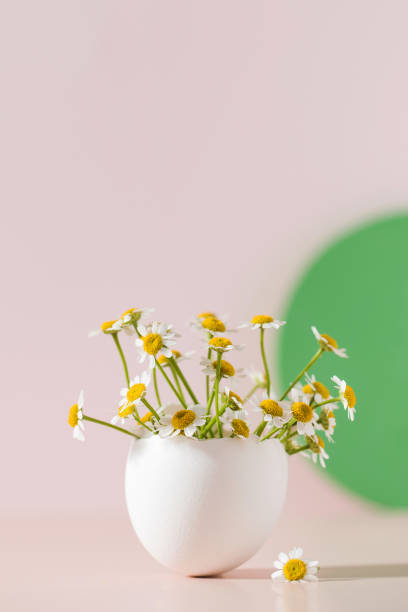 istock Spring and Easter concept, A bouquet of daisies in an eggshell on a pink background with shadows. 1387600759