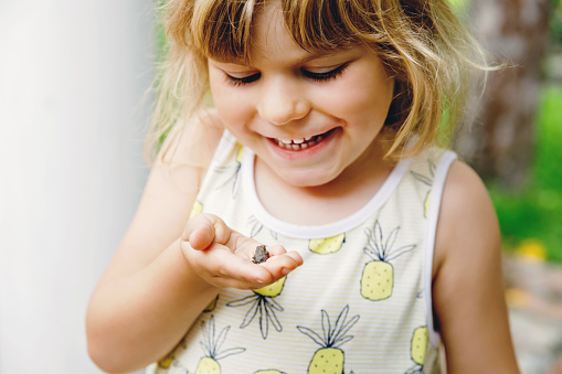 Little preschool girl holding small wild frog. Happy curious child watching and exploring animals in nature