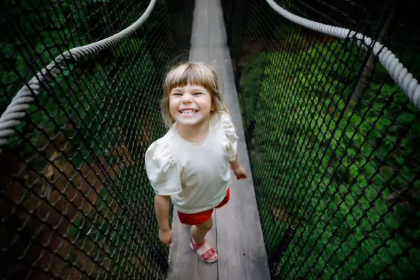 Cute little preschool girl walking on high tree-canopy trail with wooden walkway and ropeways on Hoherodskopf in Germany. Happy active child exploring treetop path. Funny activity for families outdoors.