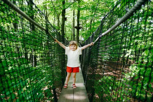 Cute little preschool girl walking on high tree-canopy trail with wooden walkway and ropeways on Hoherodskopf in Germany. Happy active child exploring treetop path. Funny activity for families outdoors.