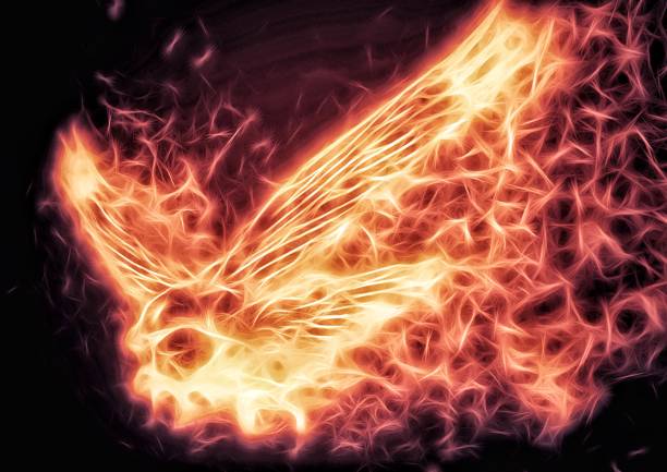 Illustration of a phoenix flapping in the night sky