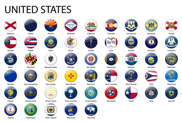 wszystkie flagi stanów stanów zjednoczonych. - maryland flag state maryland state flag stock illustrations