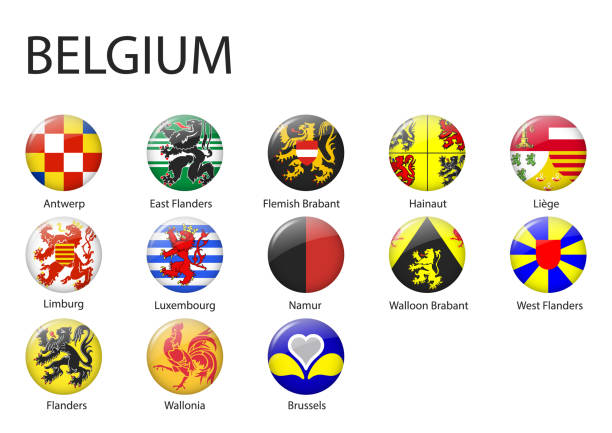 illustrazioni stock, clip art, cartoni animati e icone di tendenza di tutte le bandiere delle regioni del belgio - namur province
