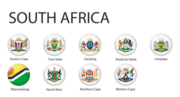남아프리카 공화국 지역의 모든 국기 - natal stock illustrations