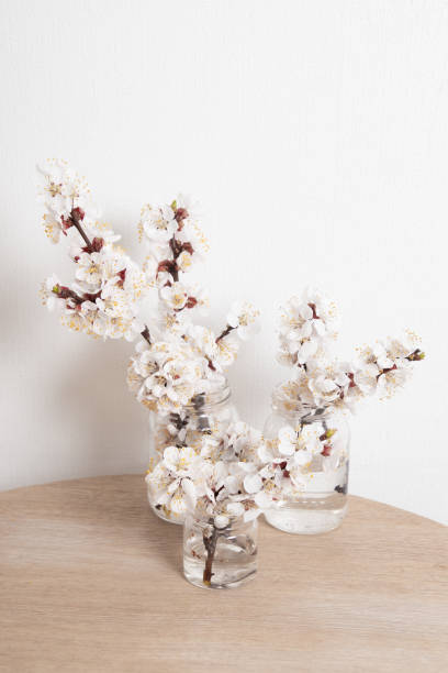 istock Blooming spring twigs in jars on the table in a homely cozy interior 1387606863