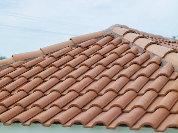 istock Roof tiles close-up 1387606959