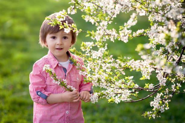 istock Cute toddler boy, playing in spring garden with blooming trees 1387608016