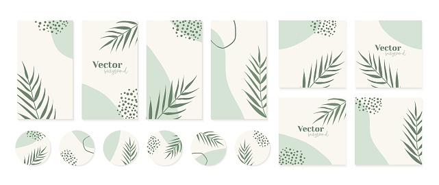Minimal instagram post, stories templates, highlights icons in green colors. Abstract organic shapes floral background. Social media template