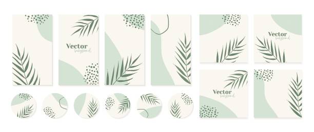Minimal instagram post, stories templates, highlights icons in green colors. Abstract organic shapes floral background vector art illustration