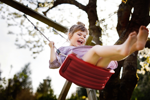 Kids on a swing under a walnuttree