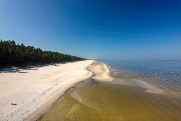 istock Baltic Sea, bird's eye view from a drone flying over an empty beautiful beach. Small waves breaking on the sandy beach. 1387613009