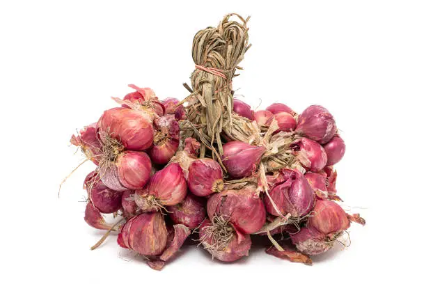 1 bunch red onions isolated on a white background. Group of  shallots.