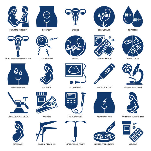 Gynecology and obstetrics icon set Gynecology and obstetrics icon set. Women reproductive health. Vector illustration. gynecology stock illustrations