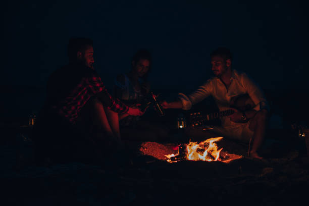istock The happy people warming hands near the bonfire. night time 1387619282
