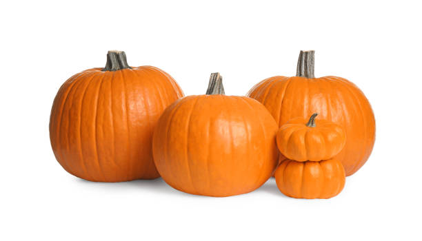 istock Beautiful ripe orange pumpkins on white background 1387620610