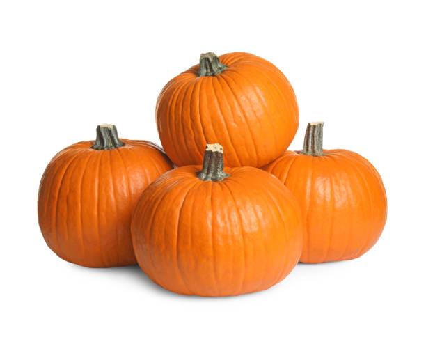 Beautiful ripe orange pumpkins on white background