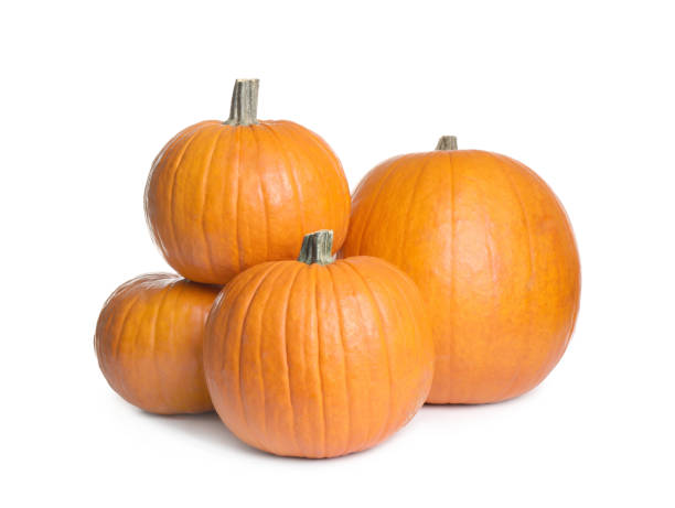 istock Beautiful ripe orange pumpkins on white background 1387620617