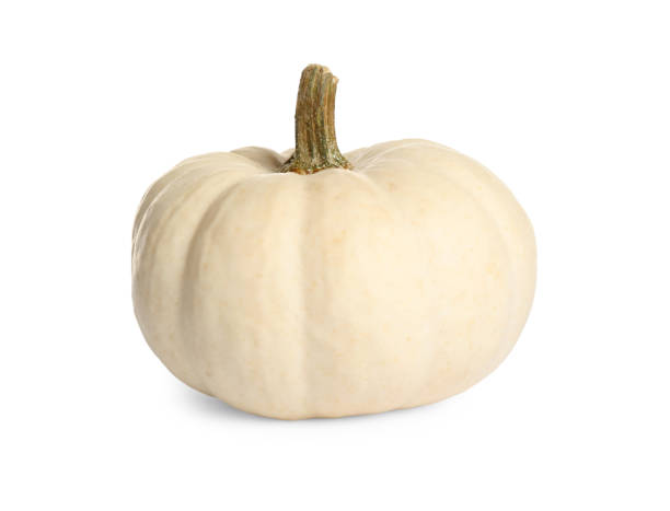 istock Beautiful small ripe pumpkin isolated on white 1387620638