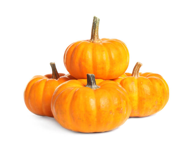 istock Beautiful ripe orange pumpkins on white background 1387620647
