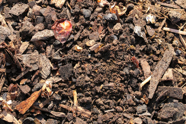 Remains of the sifted compost heap stock photo
