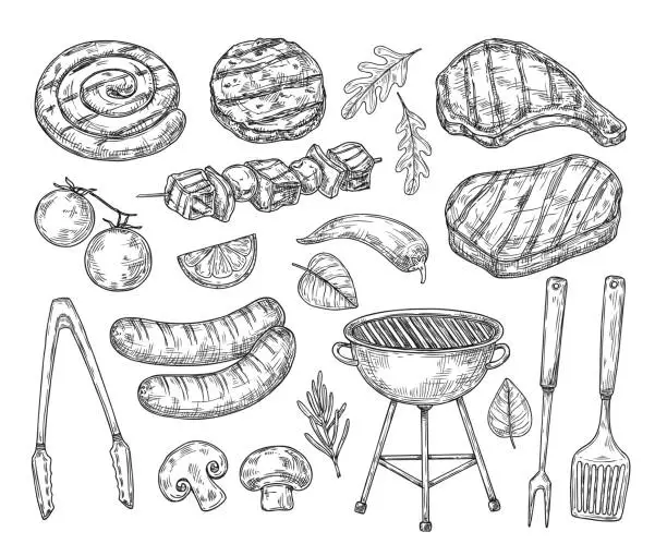Vector illustration of Hand drawn bbq. Sausages vegetables grill sketched elements. Healthy seasonal barbecue rib and lamb, meat restaurant menu vintage neoteric vector signs