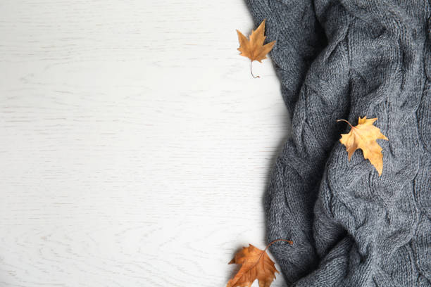 istock Knitted plaid and dry leaves on white wooden table, flat lay. Space for text 1387621041