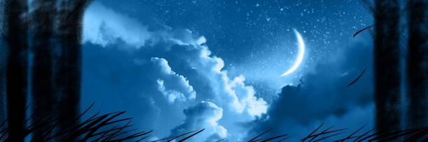 istock Illustration of beautiful night sky scape and mysterious moon beyond silhouette of forest 1387622176